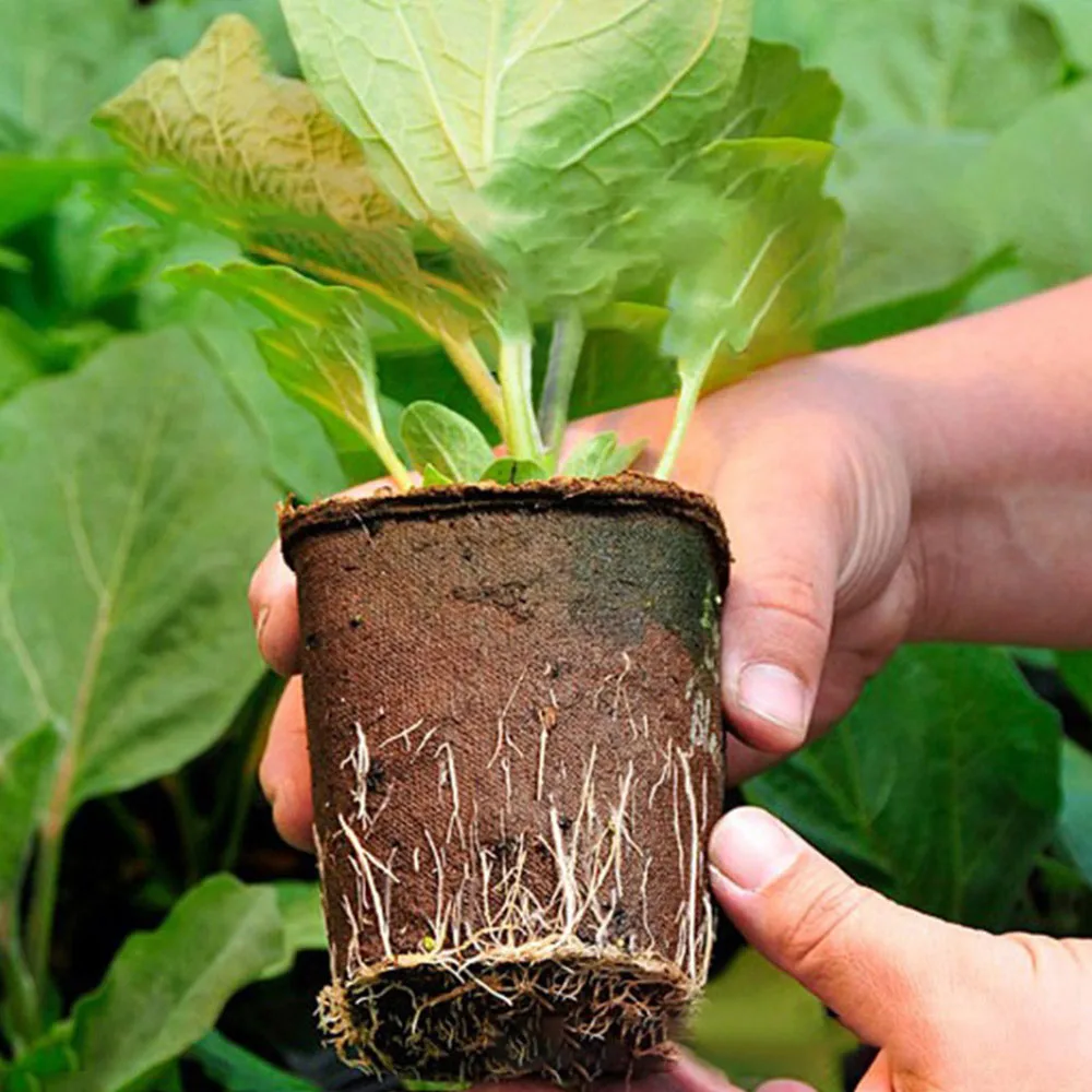 20 Pcs 6cm Garden Round Peat Pots Plant Starters Cups Nursery Herb Tray Planting Tools Environmental Biodegradable New 2024