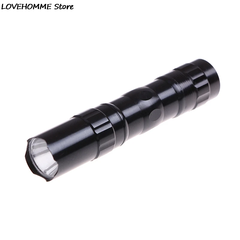 NEW Waterproof Mini LED Flashlight Torch Pocket Light Portable Lantern AA Battery Powerful Led For Hunting Camping Wholesale