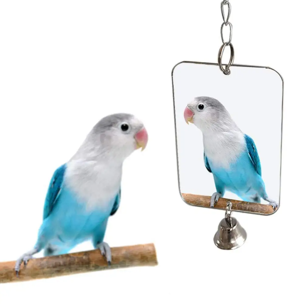 Parrot Bird Parakeet Hanging Mirror Bell Play Toy Cage Decoration Pet Supplies