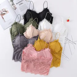 Top Women Leprechaun Small Sling Lace Beautiful Back Wrapped Tube Top Girl Sexy Fashion Sports Bra Ladies Vest Underwear Crop
