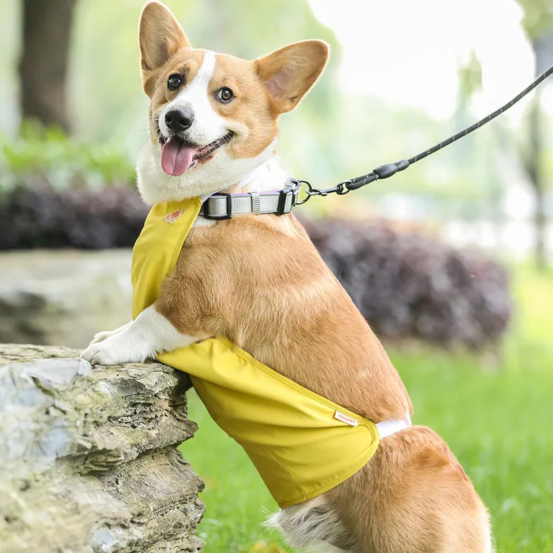 HOOPET Breathable And Comfortable Bellyband For Dogs Summer Clothes For Going Out Protective Belly Clothes For Pet Dog Suppliers