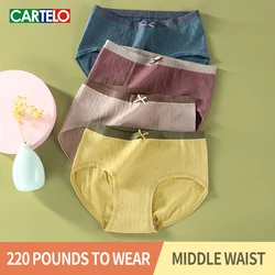 Calcinha tamanho grande para as mulheres, roupa interior de alta elasticidade, feita de plástico, antibacteriana, para o abdômen, 3 partes