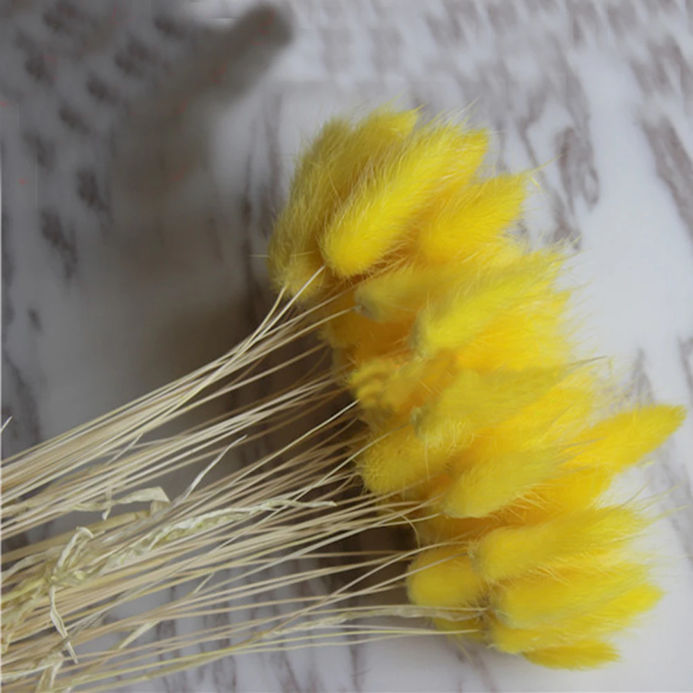 50pcs dried natural flower bouquets yellow color Lagurus ovatus bouquets&Uraria picta&rabbit tail grass bouquets bunches