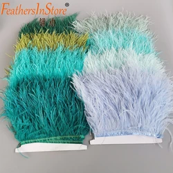 8-13cm 2meters Decorative Ostrich Feather Trim Plumes Fringe Ribbons for Needlework Dress Clothing Handicraft Accessories