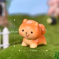 Chow Chow