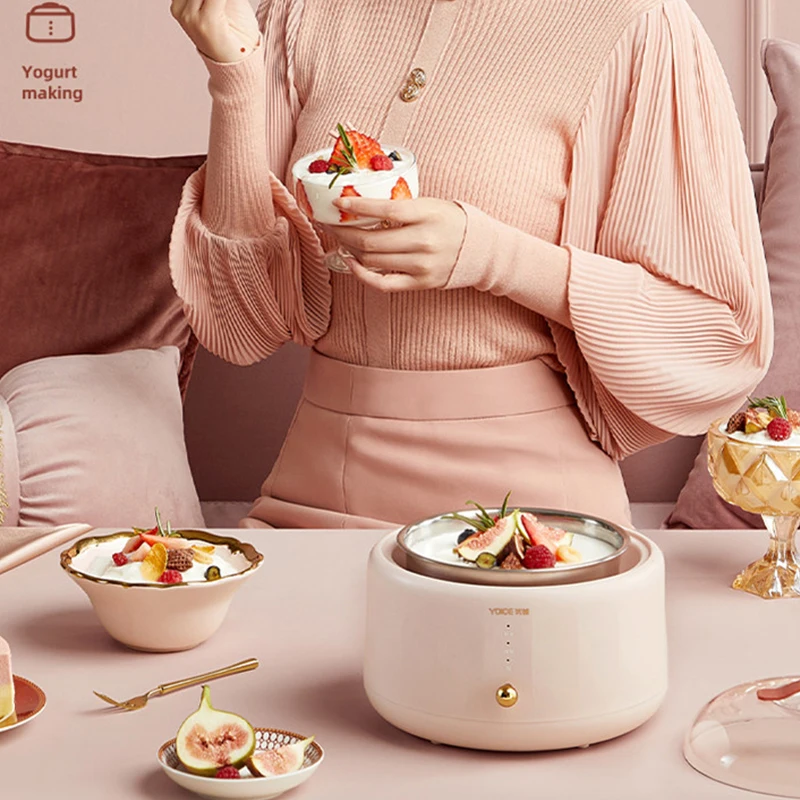 家庭用ジェット機,ジュース用,ステンレス鋼素材,1l,220v