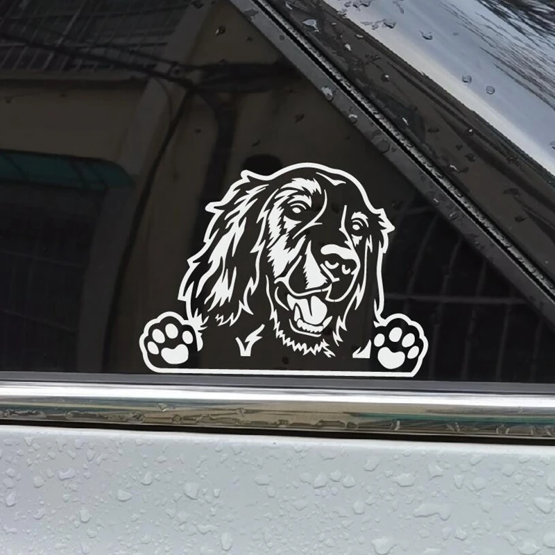 XY Funny Dog Golden Retriever Car Sticker Vinyl Decal Rear Windshield Side Window 15CMX11CM