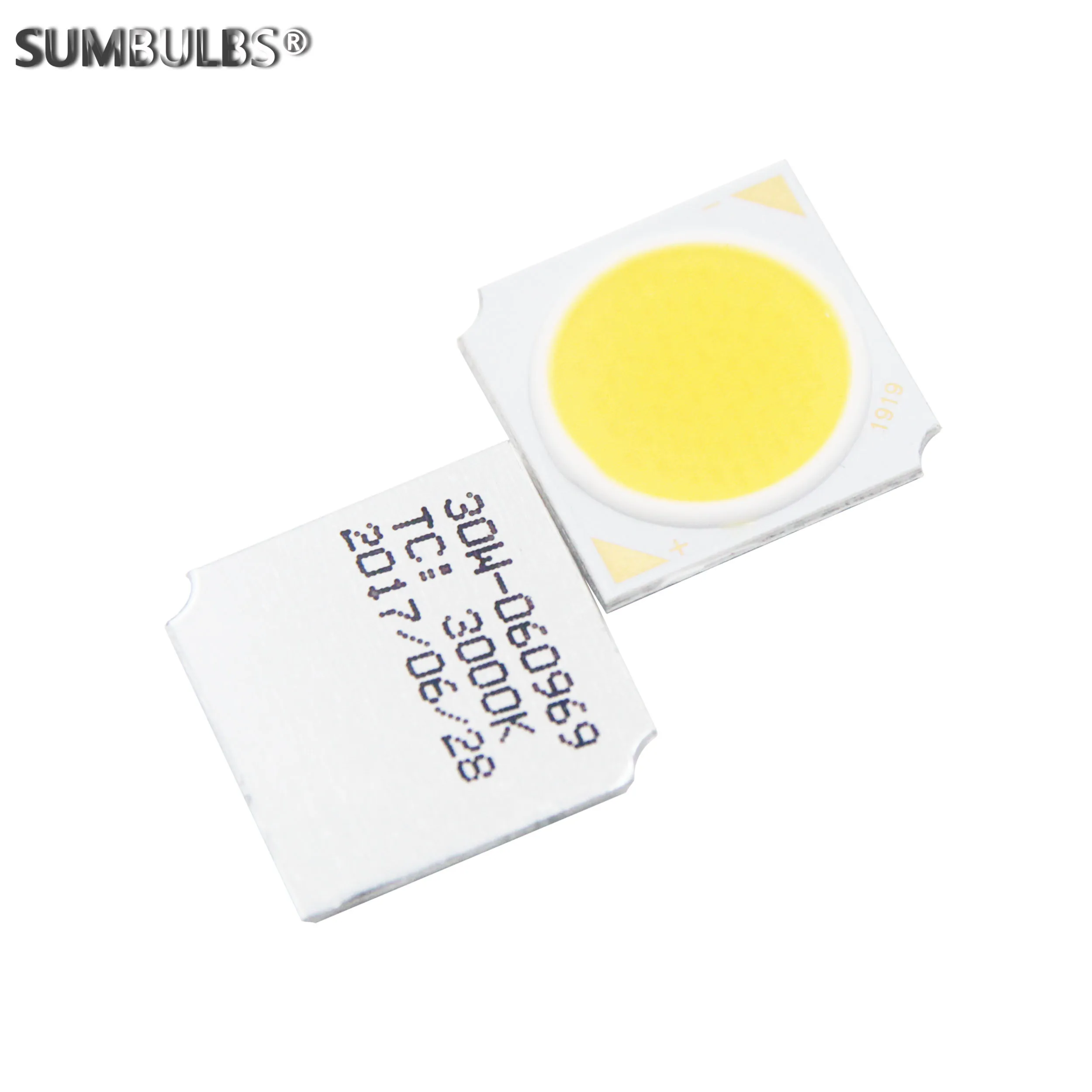 Imagem -02 - Led Cob Chip Fonte para Down Track Light Lâmpada Faça Você Mesmo Frio Quente Branco Natural Emitindo Diâmetro 10w 19x19 mm 17 mm Pcs por Lote