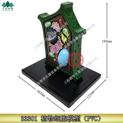 Plant Cell Model Plant Microscopic Specimens Magnified Cell Structure Bio-teaching Model Display Utensils