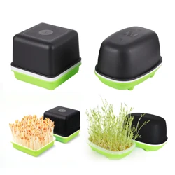 Home Garden Hydroponic Peanut Sprout Box Bean Pea Wheat Seedling Sprouter Tray Cat Grass Grow Germination Soilless Planting Pot