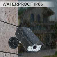 Outdoor Waterproof Home Camera Solar Power Simulation Camera LED Wall Lamp Security Surveillance LED Solar Light