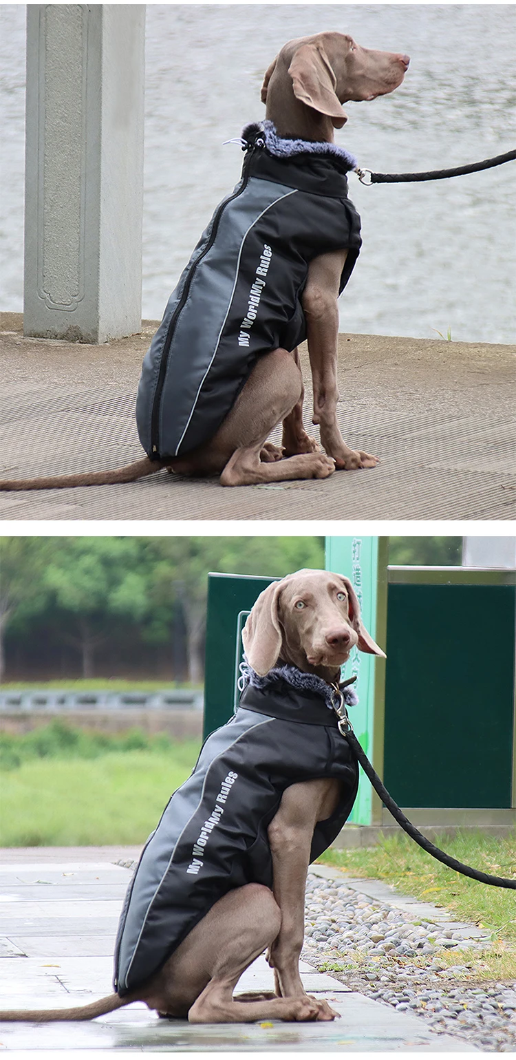 Winter wasserdichter Hundemantel, warme Haustier-Pelzkragenjacke mit abnehmbarem Geschirr, große Hundekleidung, Bulldoggen-Outfit, Labrador-Kostüme – Detail 13