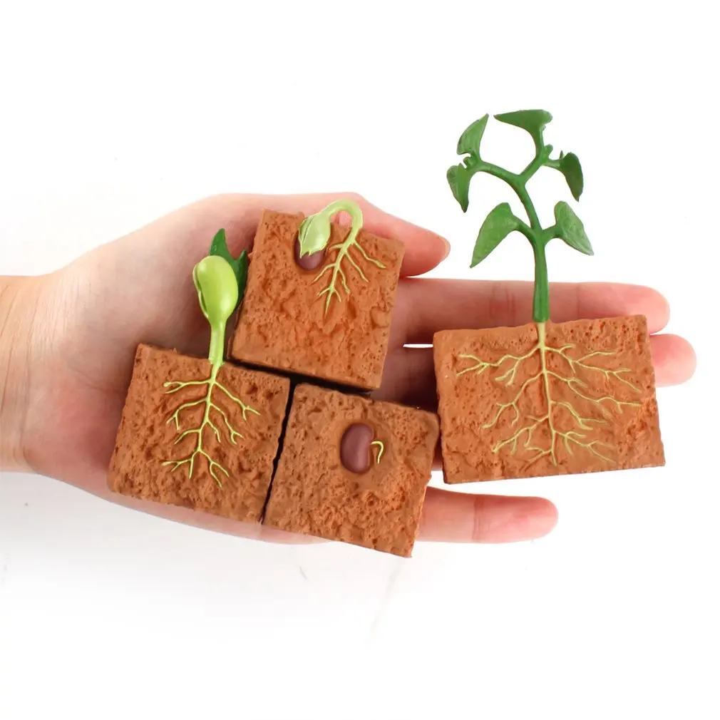 PVC Simulation Life Cycle Of Green Bean Plant Growth Cycle Model Action Figures Collection Science Educational Toys For Children