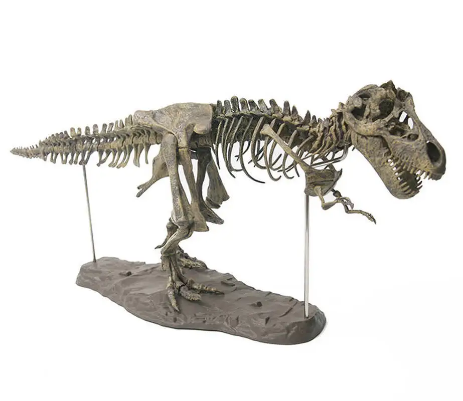 4D Tyrannosaurus Rex Excavation Science Kit Dig Up Dinosaur and Assemble a 4D Skeleton Ancient Animal Fossil Skull