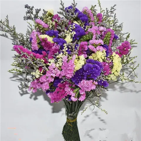 

. Yunnan natural don't forget me dry flower living room interior decoration air dried flower arrangement real flower bouquet DIY