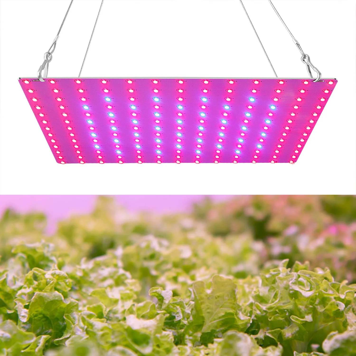 

LED Grow Light 81/169 LEDs 200W 300W Indoor Plant Growing Lamp Red Blue Full Spectrum For Indoor Hydroponic Plant Flower Veg