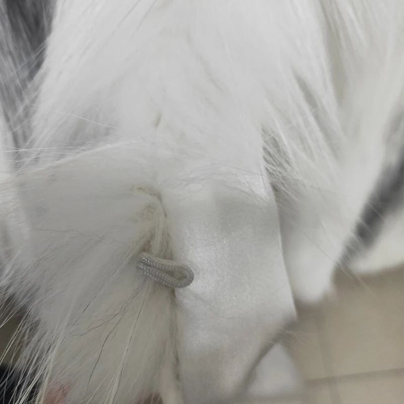 Casaco de pele de raposa real feminino, casaco longo com chapéu grosso e quente, leve e elegante, 1 m