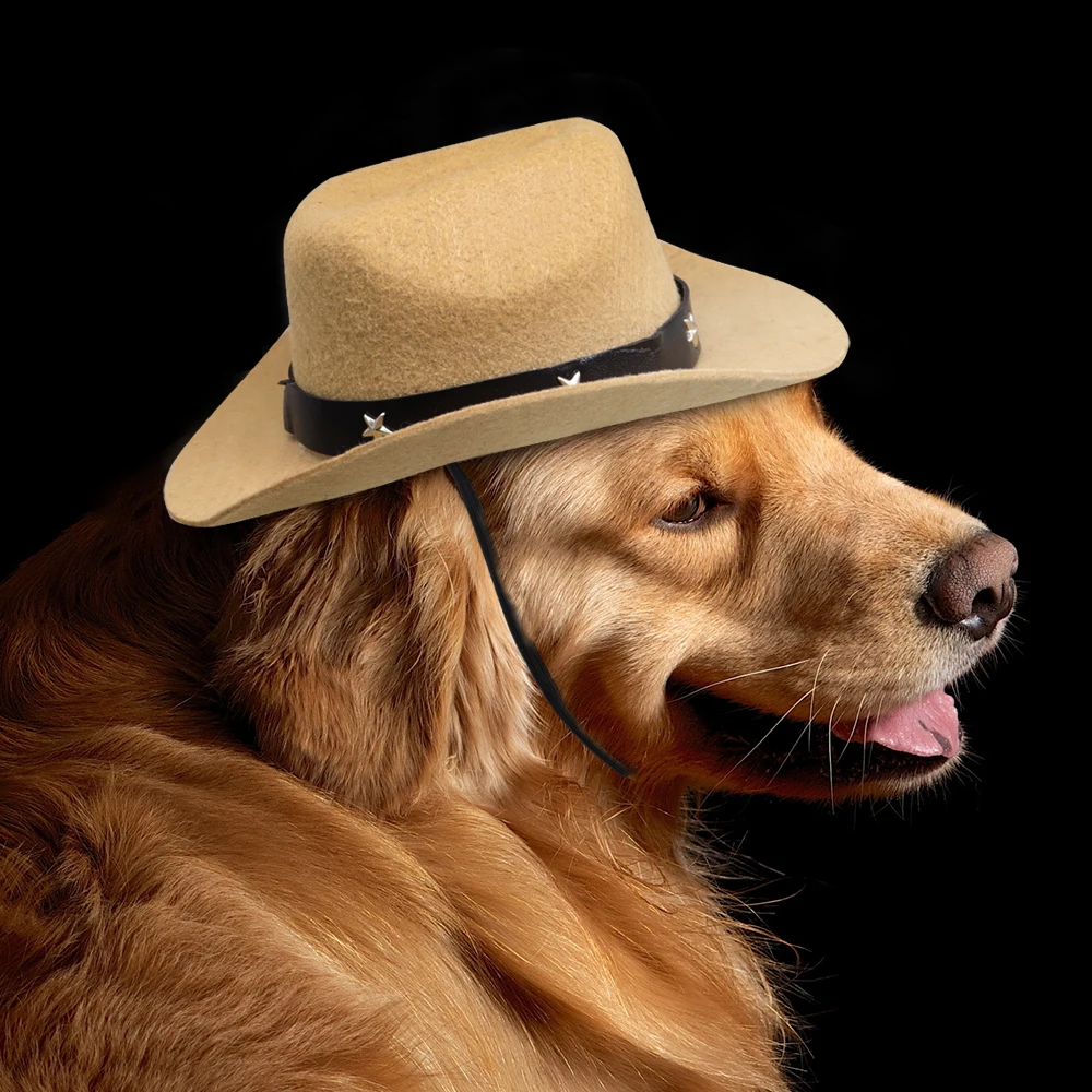 Summer Pet Dog Hat Outdoor Dogs Caps For Small Medium Dogs Cats Adjustable Puppy Kitten Hats Pet Accessories Chihuahua