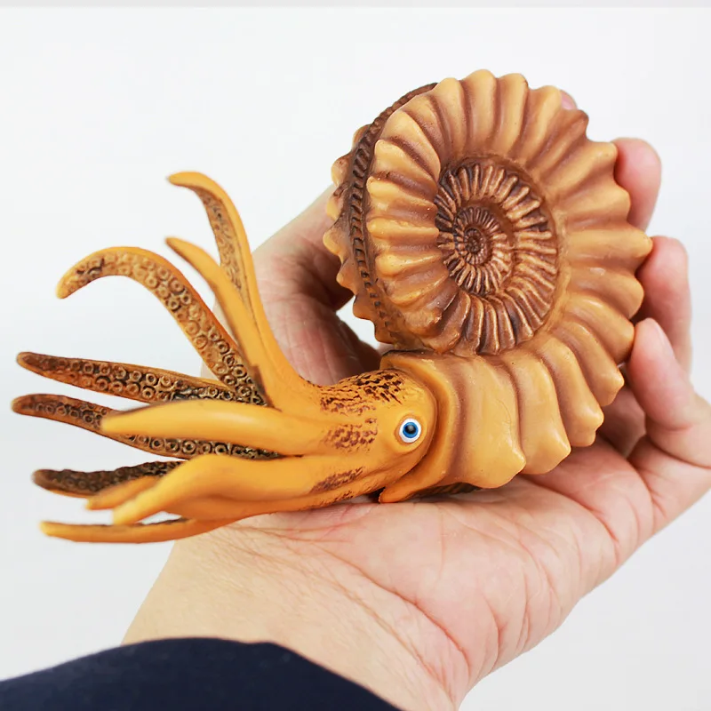 Sea Life Animal Conch Nautilus Figure Toys Ocean Animal Kids Solid Plastic Cement Toys Gift