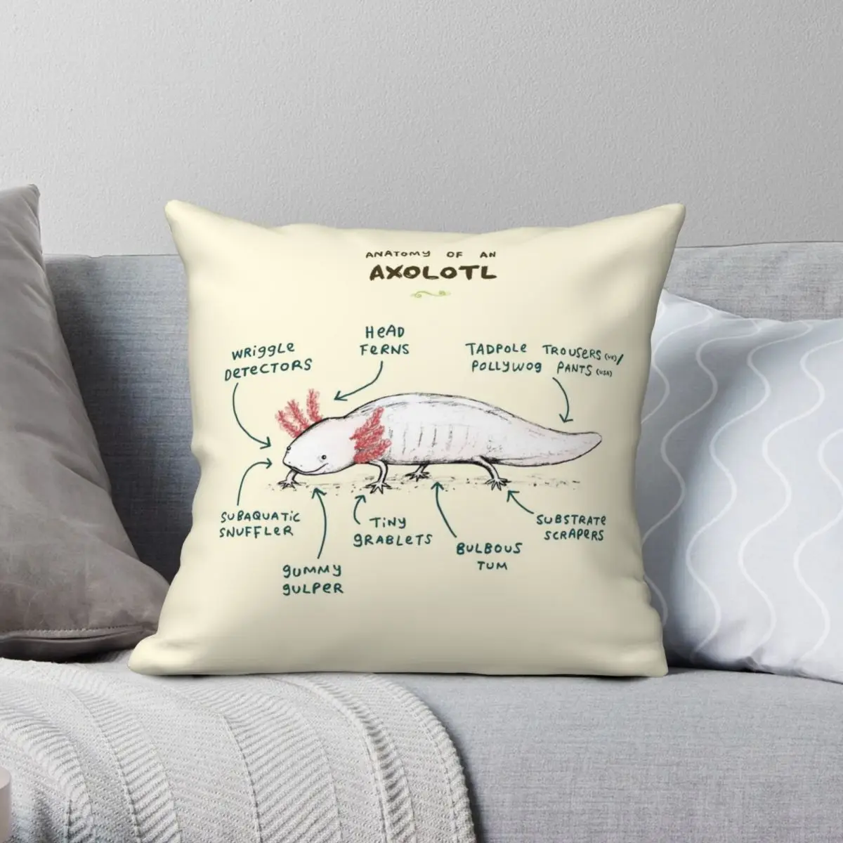 Anatomy Of An Axolotl Square Pillowcase Polyester Linen Velvet Printed Zip Decor Bed Cushion Case 45x45