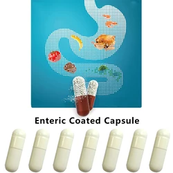 Enteric Coated Capsule 1# Enterosoluble Empty Hard Gelatin Capsule Gel Medicine Pill Hollow Hard Gelatin Joined Capsules