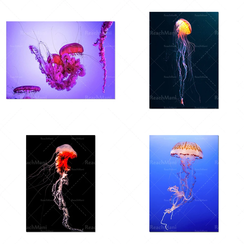 

Nordic abstract graffiti jellyfish wall art canvas painting floating jellyfish print poster modular picture home decor