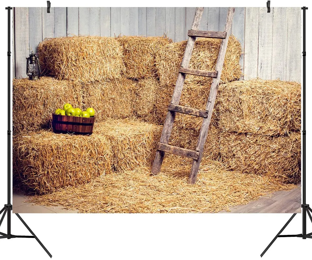 

Haystack Autumn Birthday Backdrop Harvest Countryside Village Rural Hay Bale Photo Photography Background Grain Pile Straw Pile