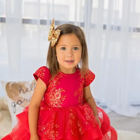 Robe de bal en dentelle et Organza pour filles, tenue de fête d'anniversaire, manches bouffantes, première Communion