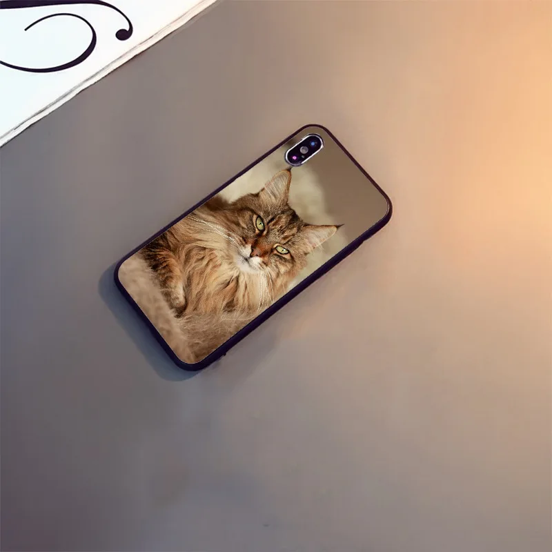 pet maine coon cat Phone Accessories Case For iphone 13pro 14pro 15pro 12pro 11pro xs max 7 8 XR 12mini 15plus 13mini SE cover