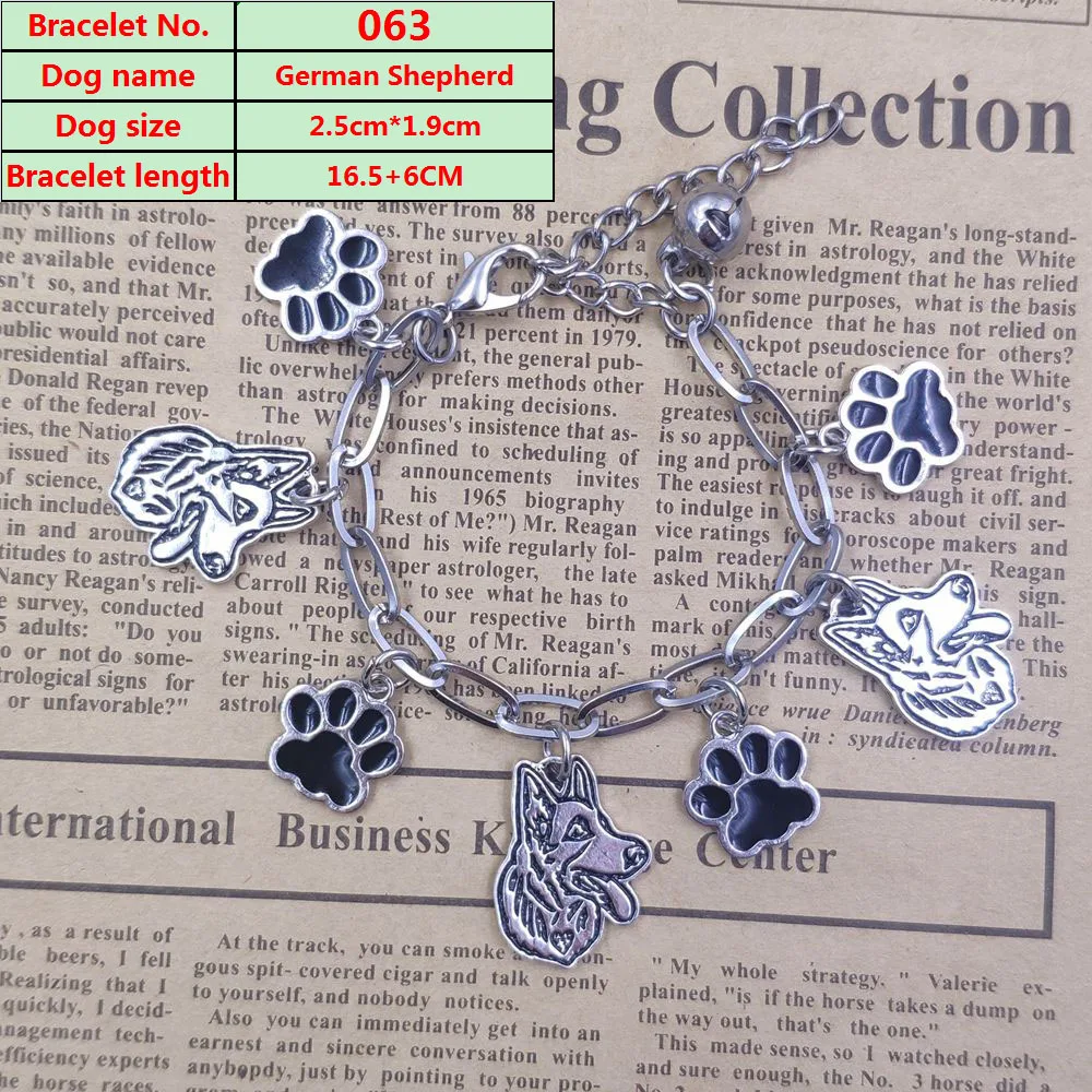 2023 Cute Hot Unique Yorkshire Terrier Husky Pug Chow Chow Dog Animal Stainless Steel Charm Chain Bracelets Men Women SB010