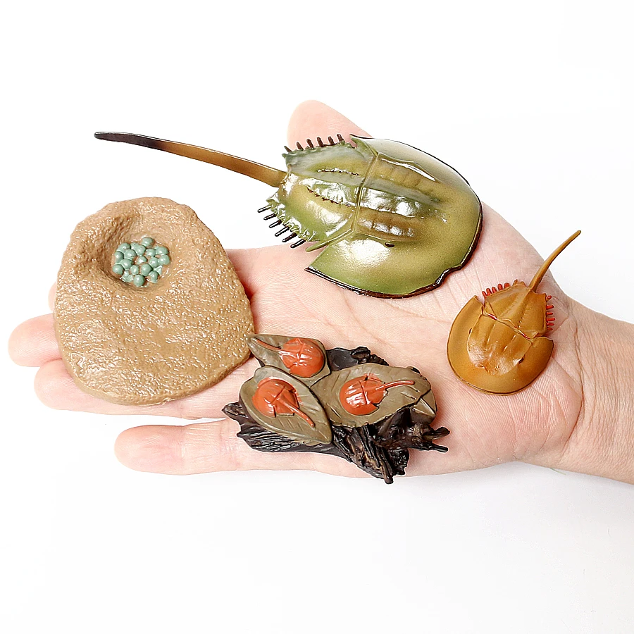 Simulation Green Bean,Cicada,Octopus,Centipede,Horseshoe crab,Crocodile,Scorpion,wasp Growth Cycle Model Figures Educational toy