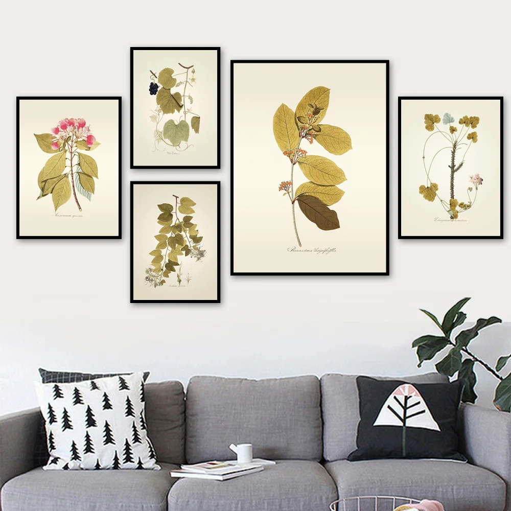 

Plant Flower Scandinavian Poster Vintage Wall Art Canvas Painting Nordic Posters and Prints Wall Pictures for Living Room Decor