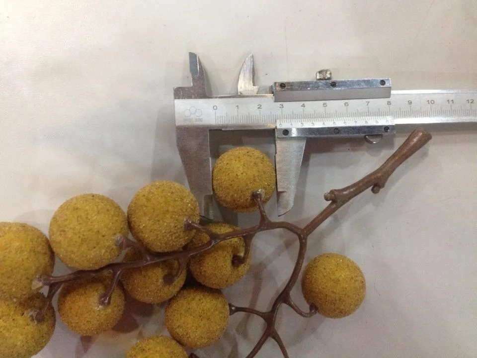 fruitspeelgoed Het model van Longan Fruit Valse simulatie Speelspeelgoed en groentevoedsel Woondecoratie Unisex Eindproducten Plastic