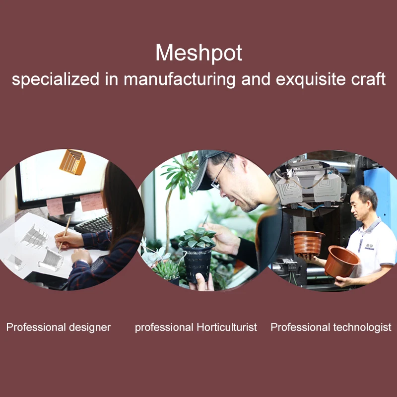Meshpot Kunststoff Sukkulenten Topf High Saist Kaktus Pflanzer Bonsai Garten Lieferant aus gezeichnete Drainage und atmungsaktive Pflanzen Topf – Detail 18