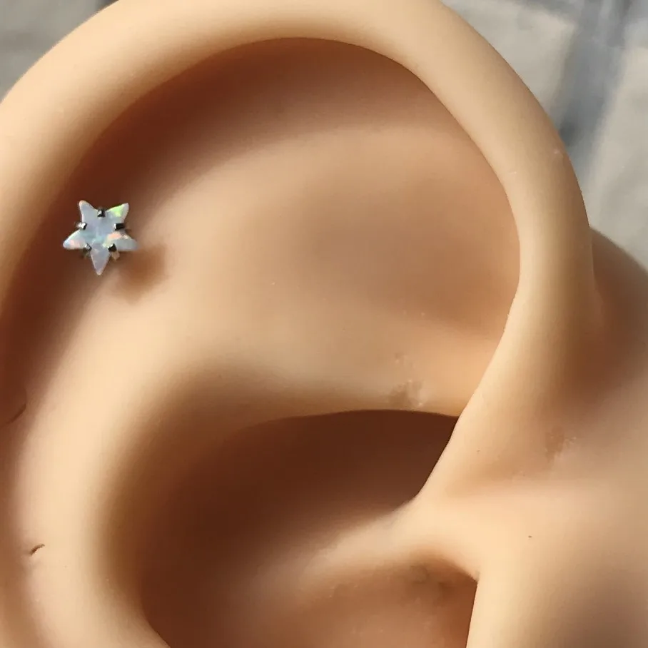 316L Stainless Steel 16G Star Opal Internal Thread Labret Lip Tragus Helix Daith Conch Cartilage Piercing Earring Body Jewelry