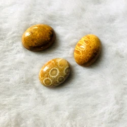 Wholesale 2pcs/lot Coral Fossils Jasper Bead cabochon,12x16mm 15x20mm Oval Gem stone Bead Cabochon Ring Face