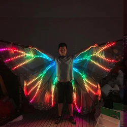 Colorful Belly Dance Performance Costume LED Wings Dance Accessories Girls LED Wings Costume LED Butterfly Wings