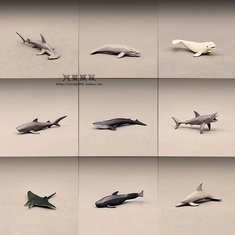 Miniature Sea Animal Model Humpback Whale Hammerhead Shark Dolphin Oceans World Marine Fishes Mini Figurine Action Figure Toys