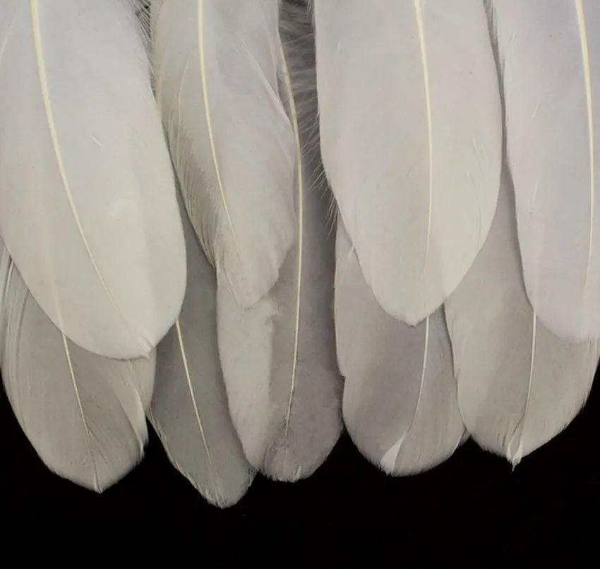 Wholesale Hard pole white Goose Feathers for crafts plumes 5-7inch/13-18cm DIY Jewelry Plume Feather Wedding Home decorationn