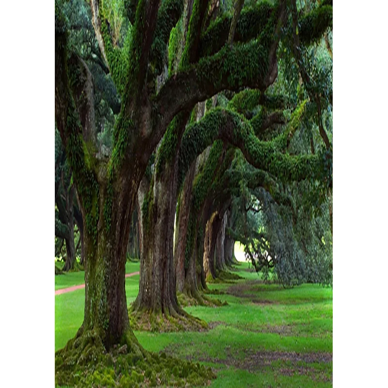 ZHISUXI Rainforest Green Forest Photography Background Natural Scenery Backdrops For Photo Studio Props 1911CXZM-49