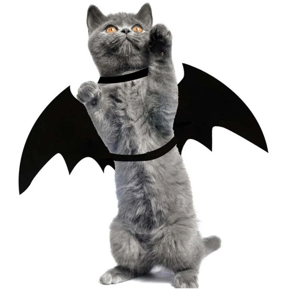 

Pet Cosplay Cat Accessories Clothes Costume Funny Halloween For Small Dog Outfit Blackbat Wing Puppy Collar Tie Party Decoration