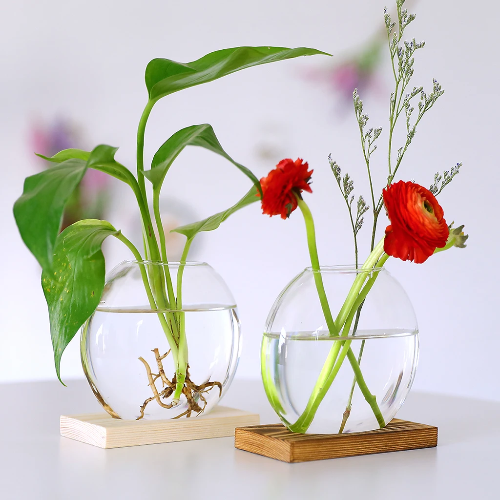 

Transparent Water Bottle Terrarium Wood Vases, Cute Clear Hydroponic Plants Vase Home Office Desktop Decoration Planter Gifts