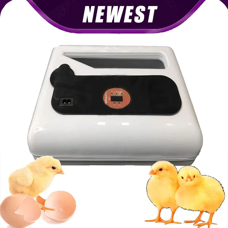 

Incubator 12 Eggs Hatchery Incubator Brooder Machine Hatchers Cheap Price Chicken Automatic Eggs Incubator Bird New Design