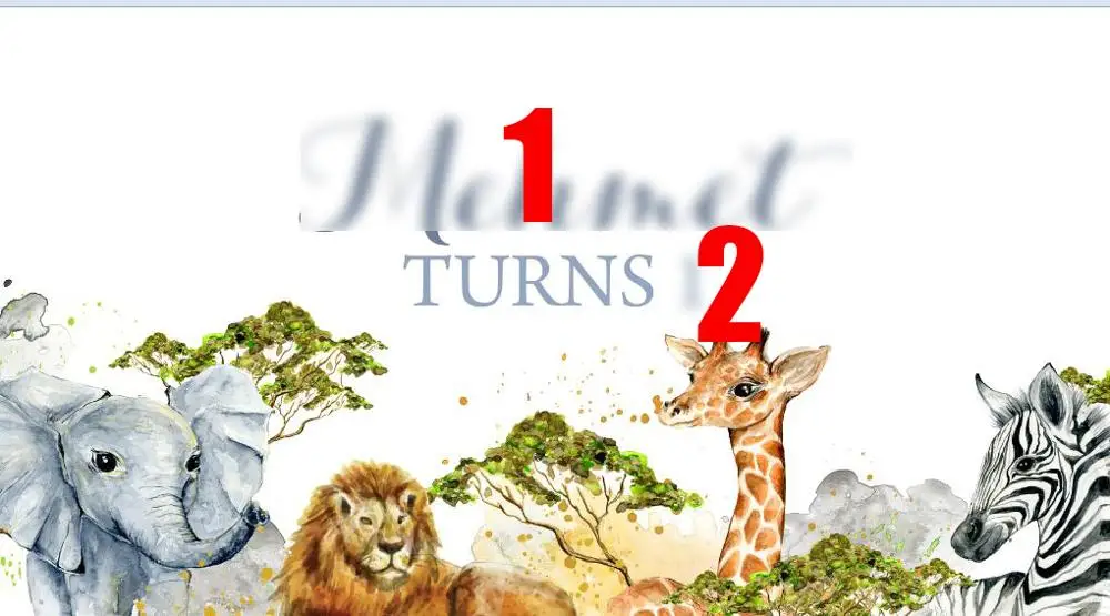 custom Jungle Safari Zoo Animal Giraffe Lion Elephant Zebra Birthday backdrop   Computer print party backgrounds