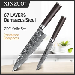 XINZUO 2PCS Kitchen Knife Set Damascus Steel Chef Gyuto Utility Knives Pakkawood Handle Stainless Steel Kitchen Cutlery