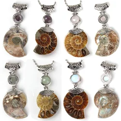 YJXP Inlaid Round Beads Exclusive Ammonite Reliquiae Pendants Seashell Conch Animal Fossils Necklaces' Pendant Charms Jewelry