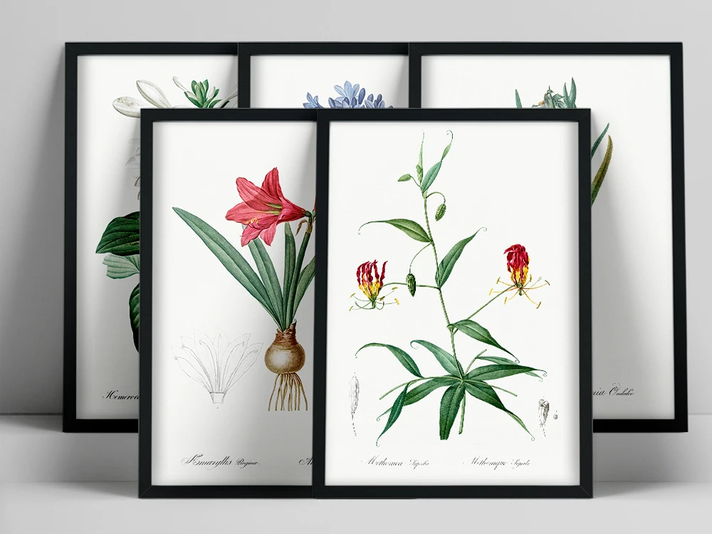 Vintage Wild Plant Poster Botanical Flower Study Living Room Hanging Painting Peony Picture Aesthetic Room Decor Canvas Paintng