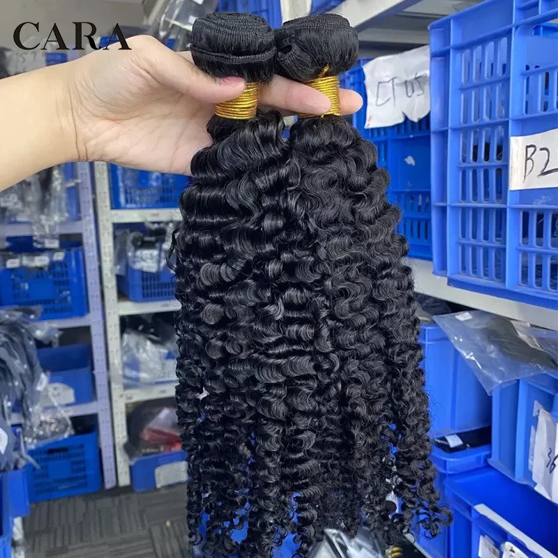 Afro Kinky Curly Human Hair Bundles With Closure Virgin Hair 2 Bundles Hair Extensions Brazilian Hair Weave  Cara 3B 3C Weft