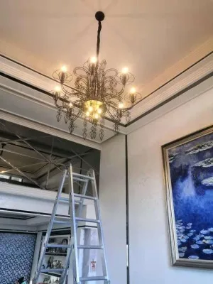 Baroque Black White Designer Hanging Lamps LED Pendant