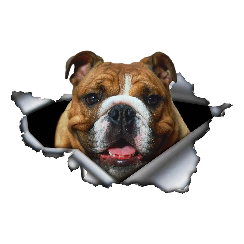 CK20907# Various Sizes Self-adhesive Decal English Bulldog Car Sticker Waterproof Auto Decors on Bumper Rear Window Laptop